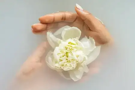 manicure medium myalo soma